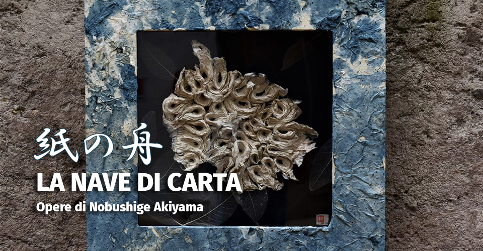 navedicarta